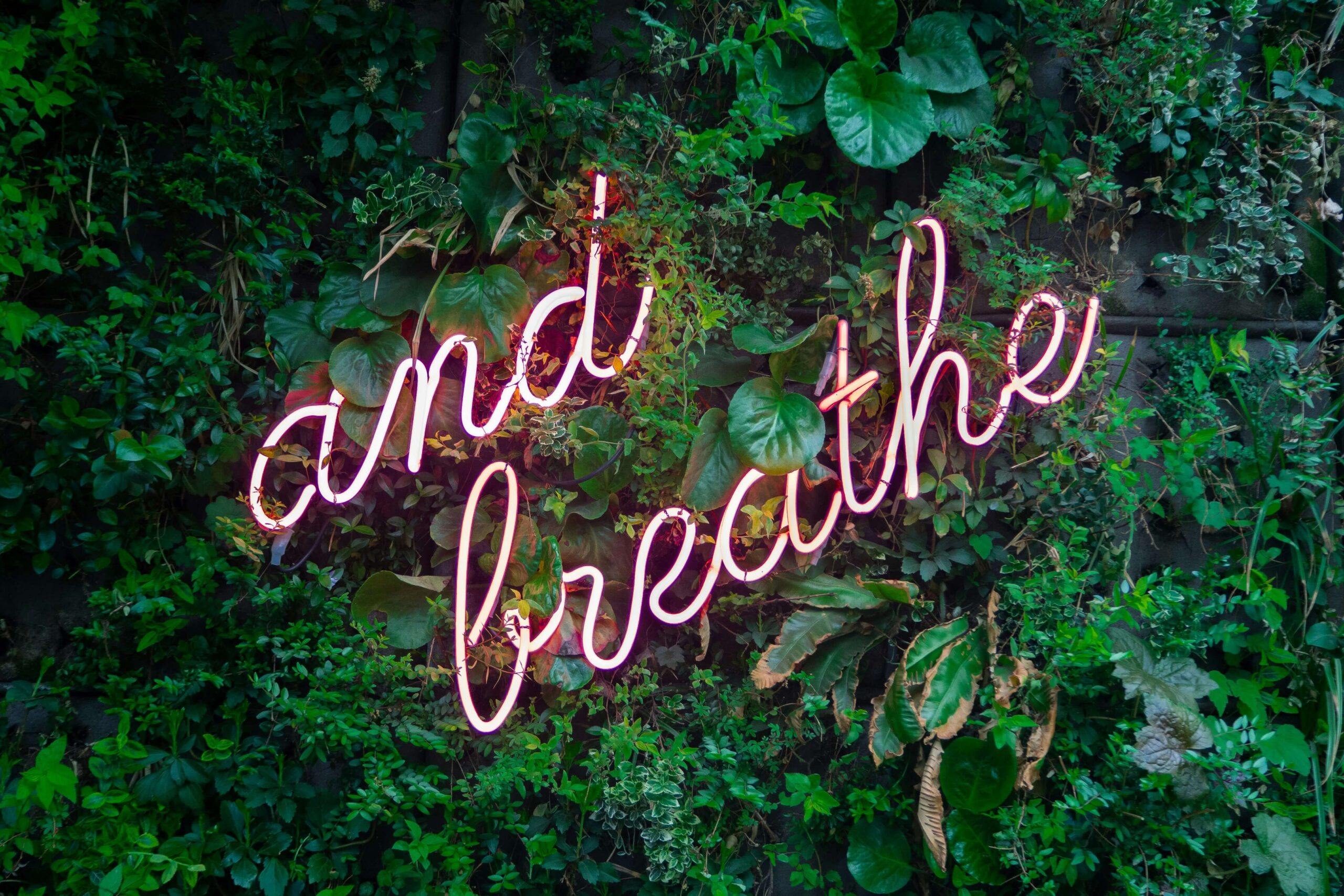 A neon sign that reads "and breathe". Representing how mindfulness can help your anxiety. Begin anxiety counseling in NYC today!