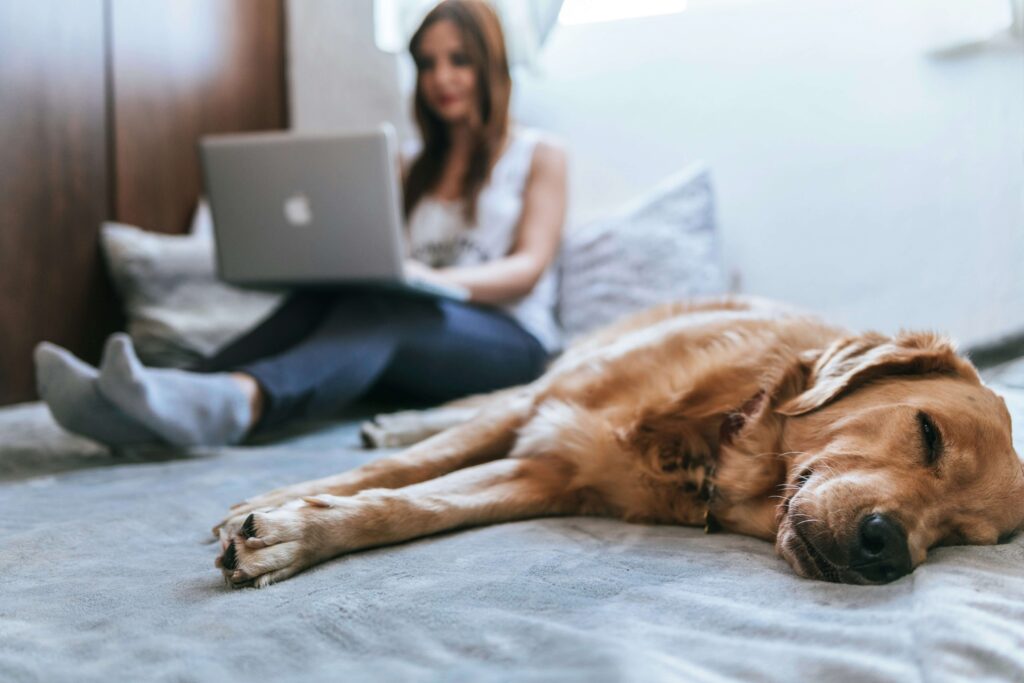 A woman typing on her computer while sitting in bed with a sleeping golden retriever dog. Representing how anxiety counseling in NYC, NY is here for busy businesswoman. Have your therapy session at your hands today!